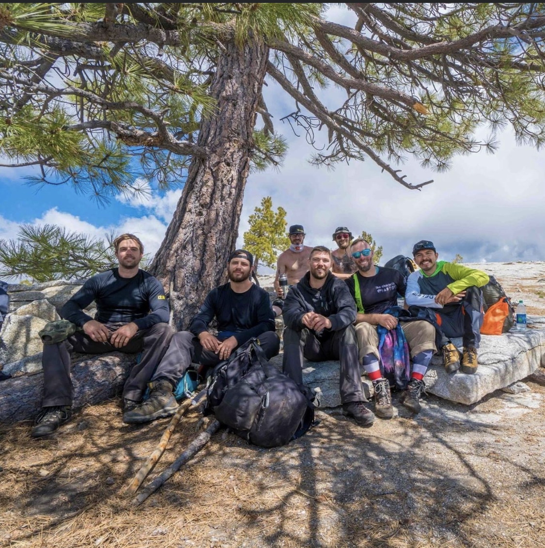 Tree Trimming Pleasant Trees LLC Annapolis Maryland