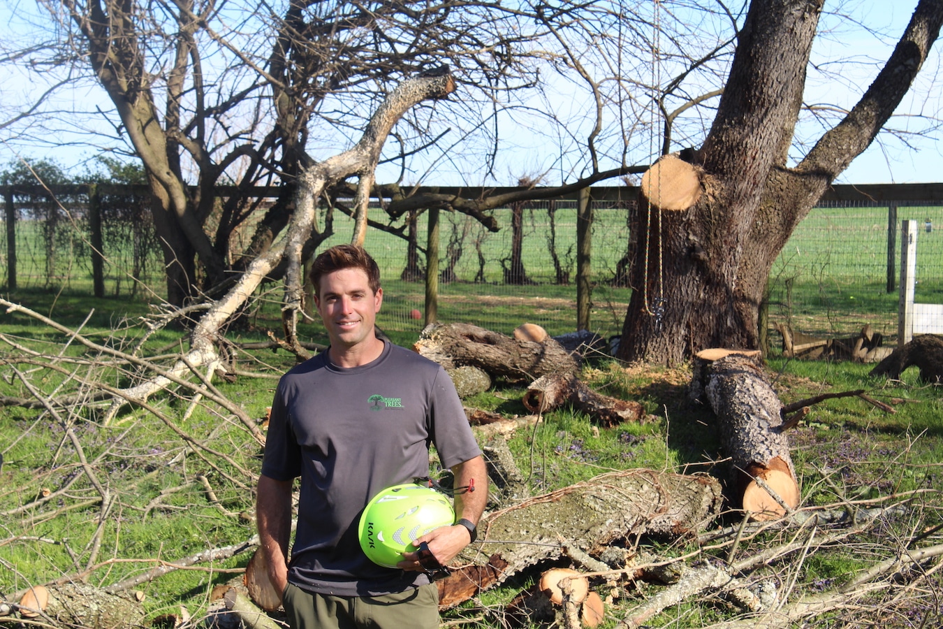 Pleasant Trees LLC Tree Care Services Annapolis Maryland