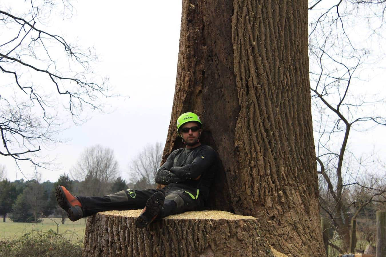 Tree Trimming Pleasant Trees LLC Annapolis Maryland