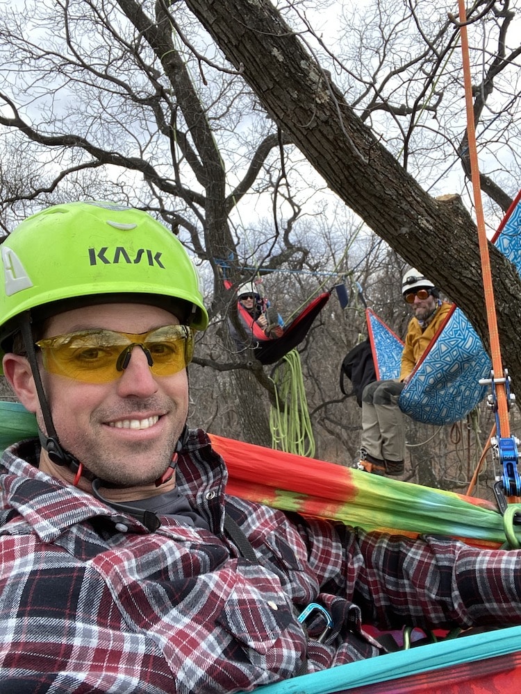 Tree Trimming Pleasant Trees LLC Annapolis Maryland