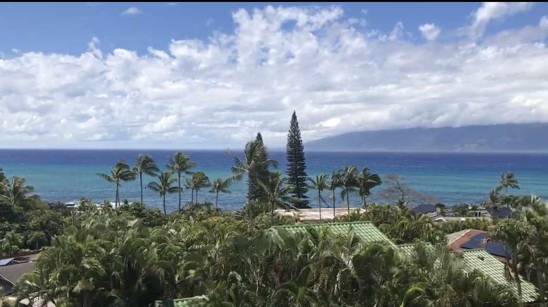 Tree Trimming Pleasant Trees LLC Annapolis Maryland