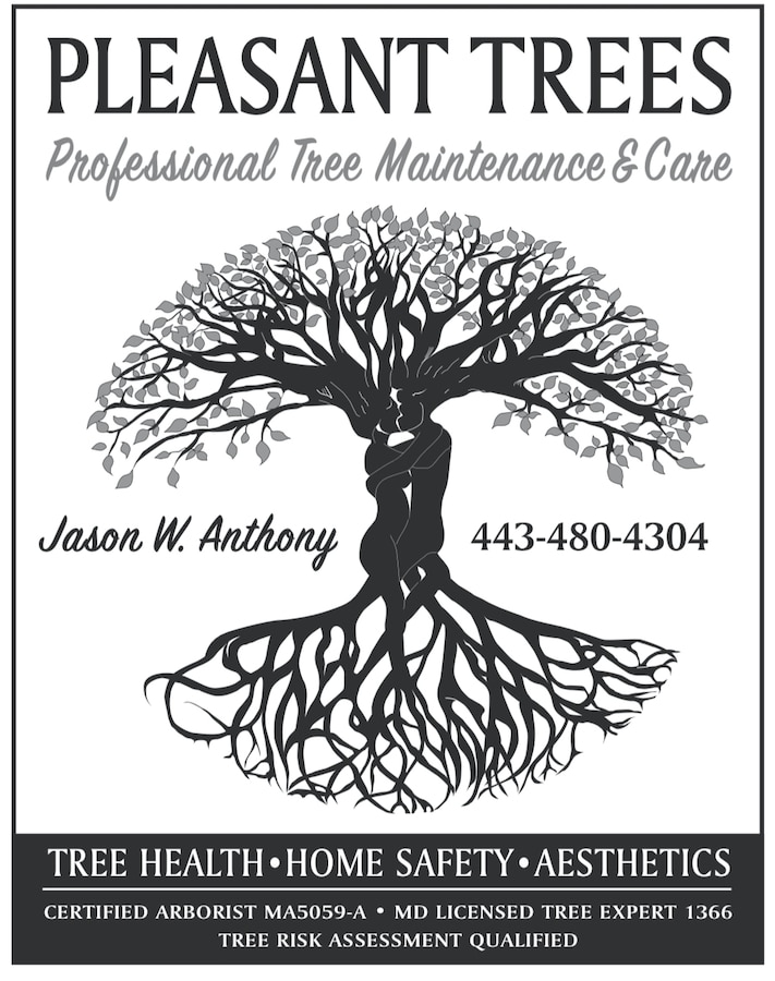 Tree Trimming Pleasant Trees LLC Annapolis Maryland