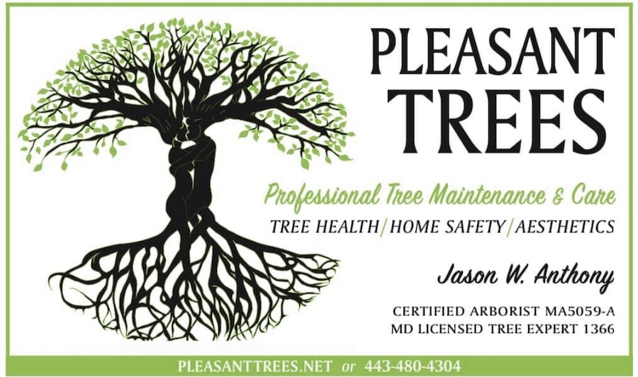 Tree Trimming Pleasant Trees LLC Annapolis Maryland