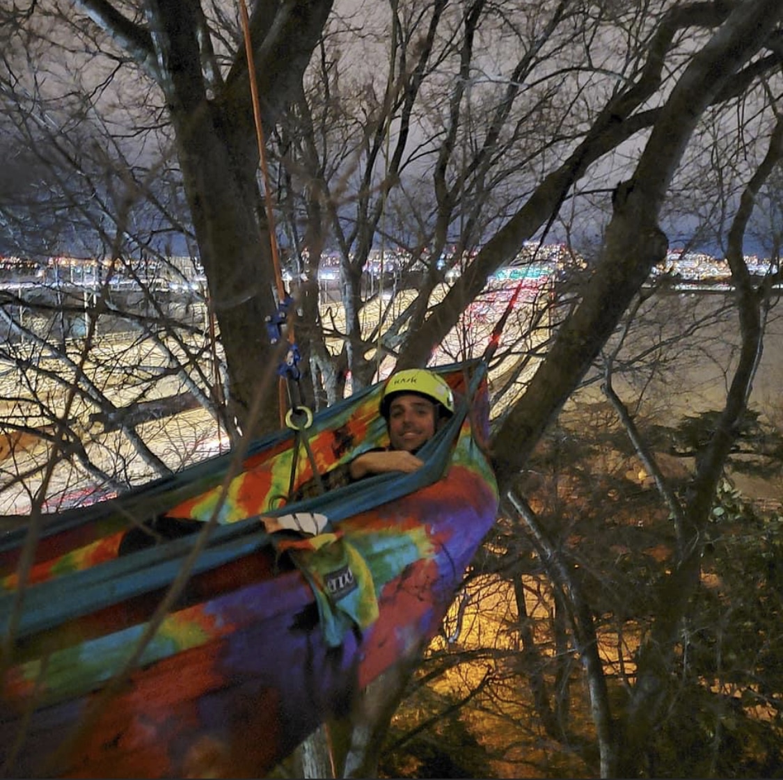 Tree Trimming Pleasant Trees LLC Annapolis Maryland