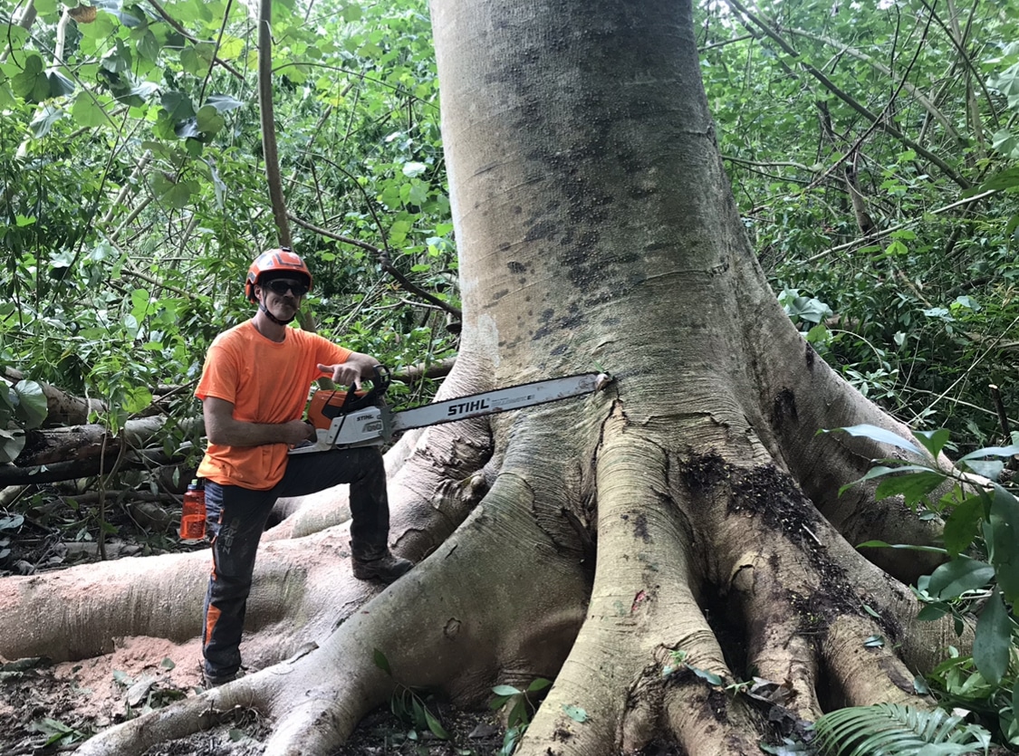 Tree Trimming Pleasant Trees LLC Annapolis Maryland