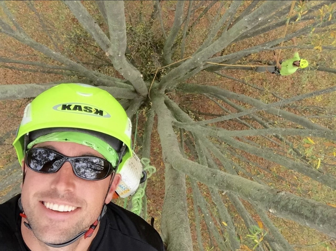 Tree Trimming Pleasant Trees LLC Annapolis Maryland