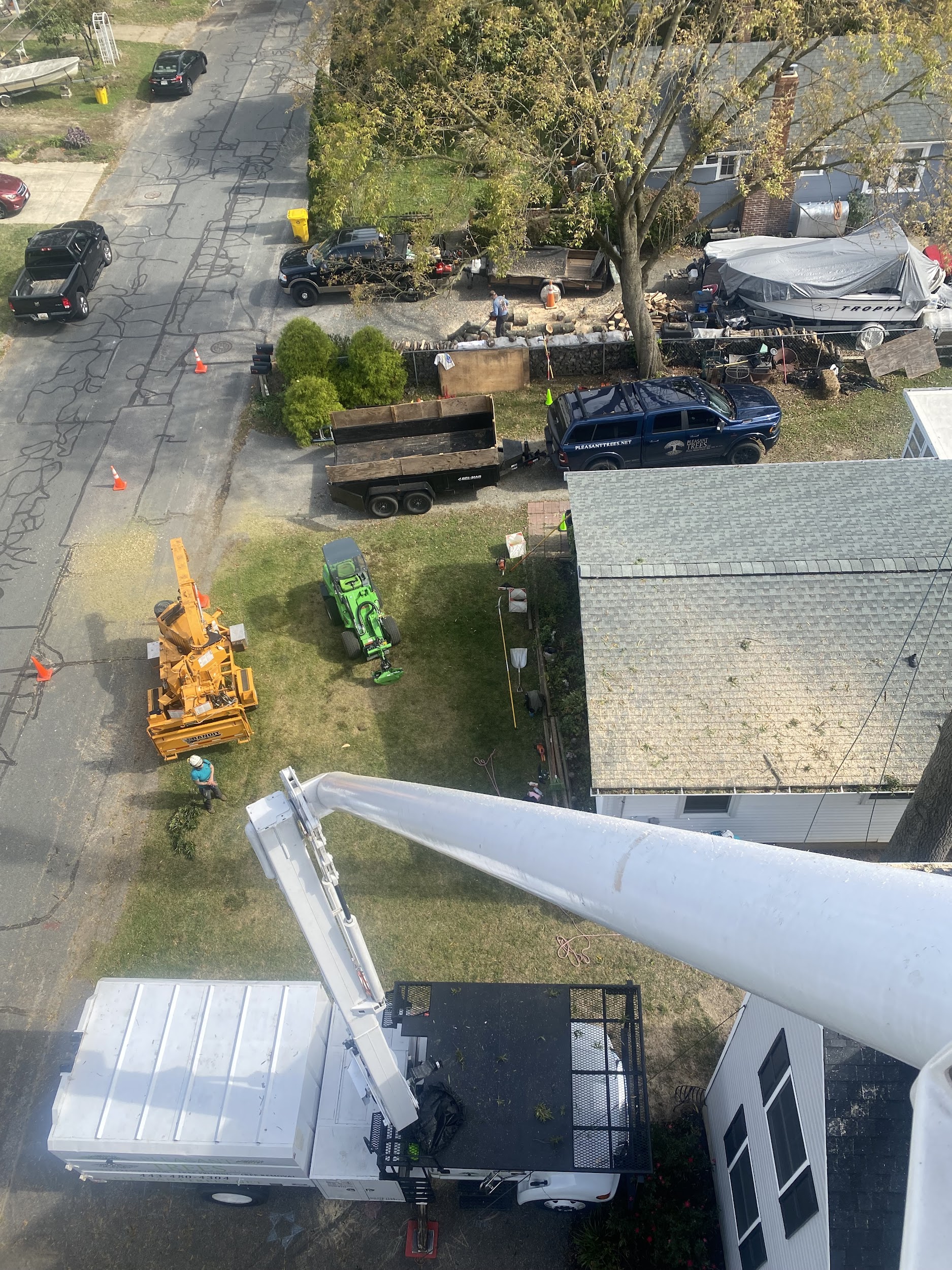 About Us Pleasant Trees Tree Care in Annapolis Maryland