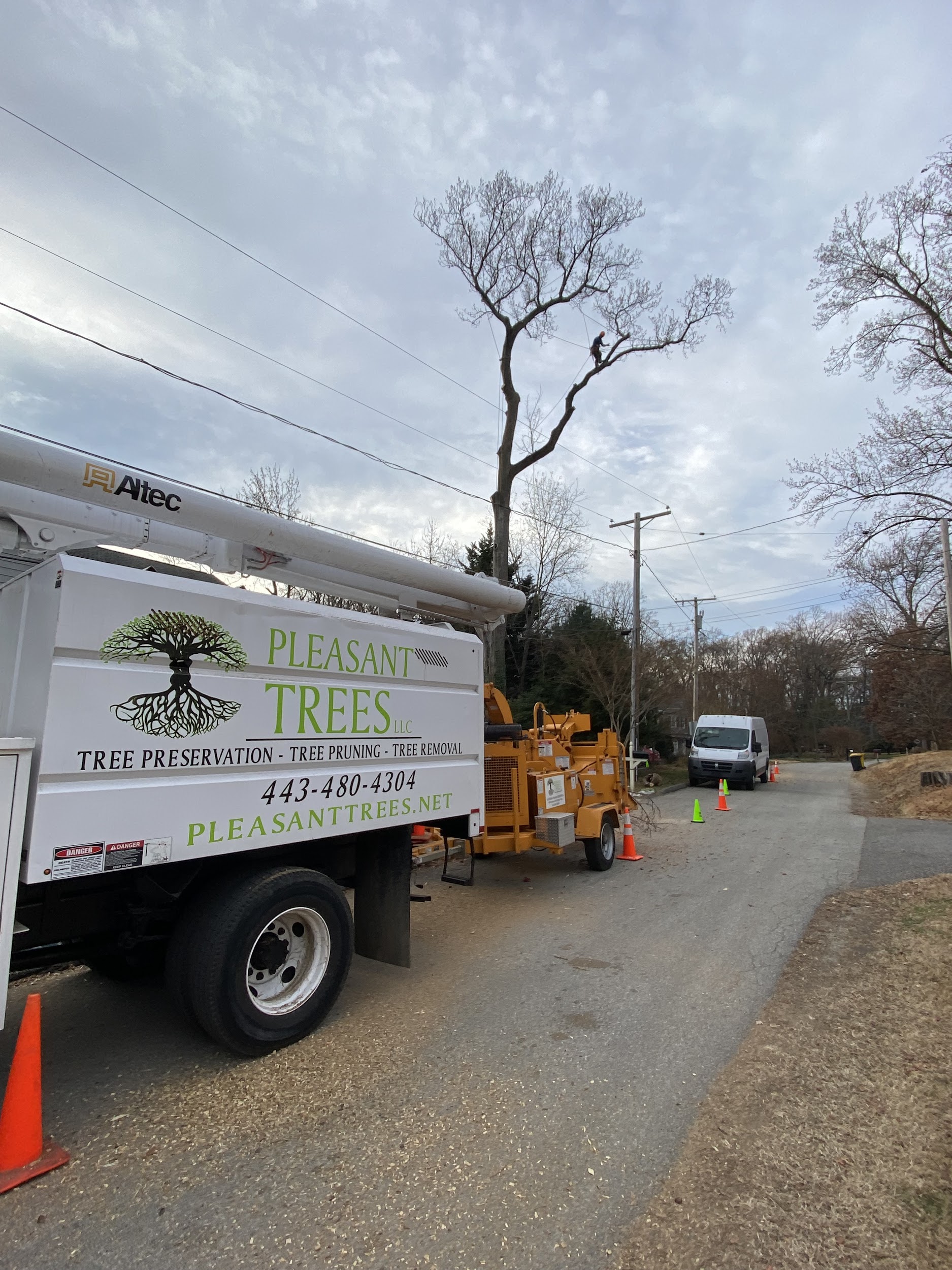 About Us Pleasant Trees Tree Care in Annapolis Maryland