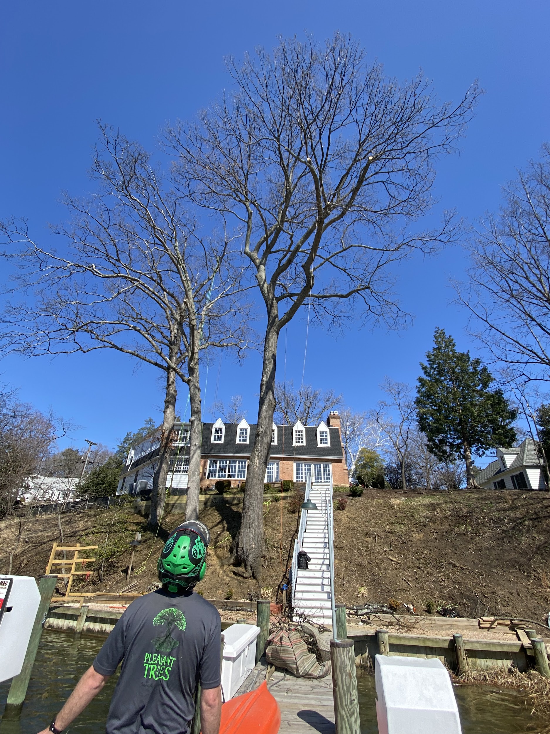 About Us Pleasant Trees Tree Care in Annapolis Maryland