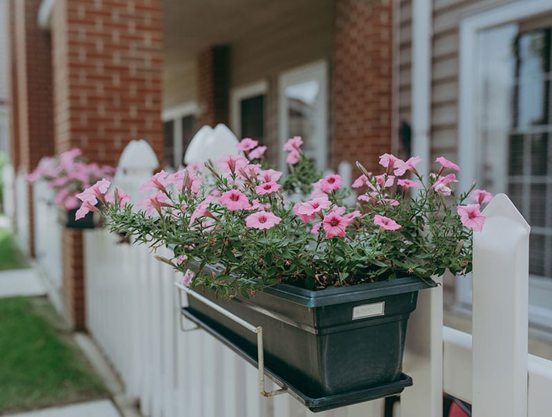 Visitation now open! Pleasant View