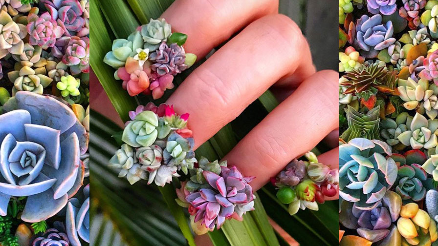 The Natural Plant Nail Art You will be Amazed