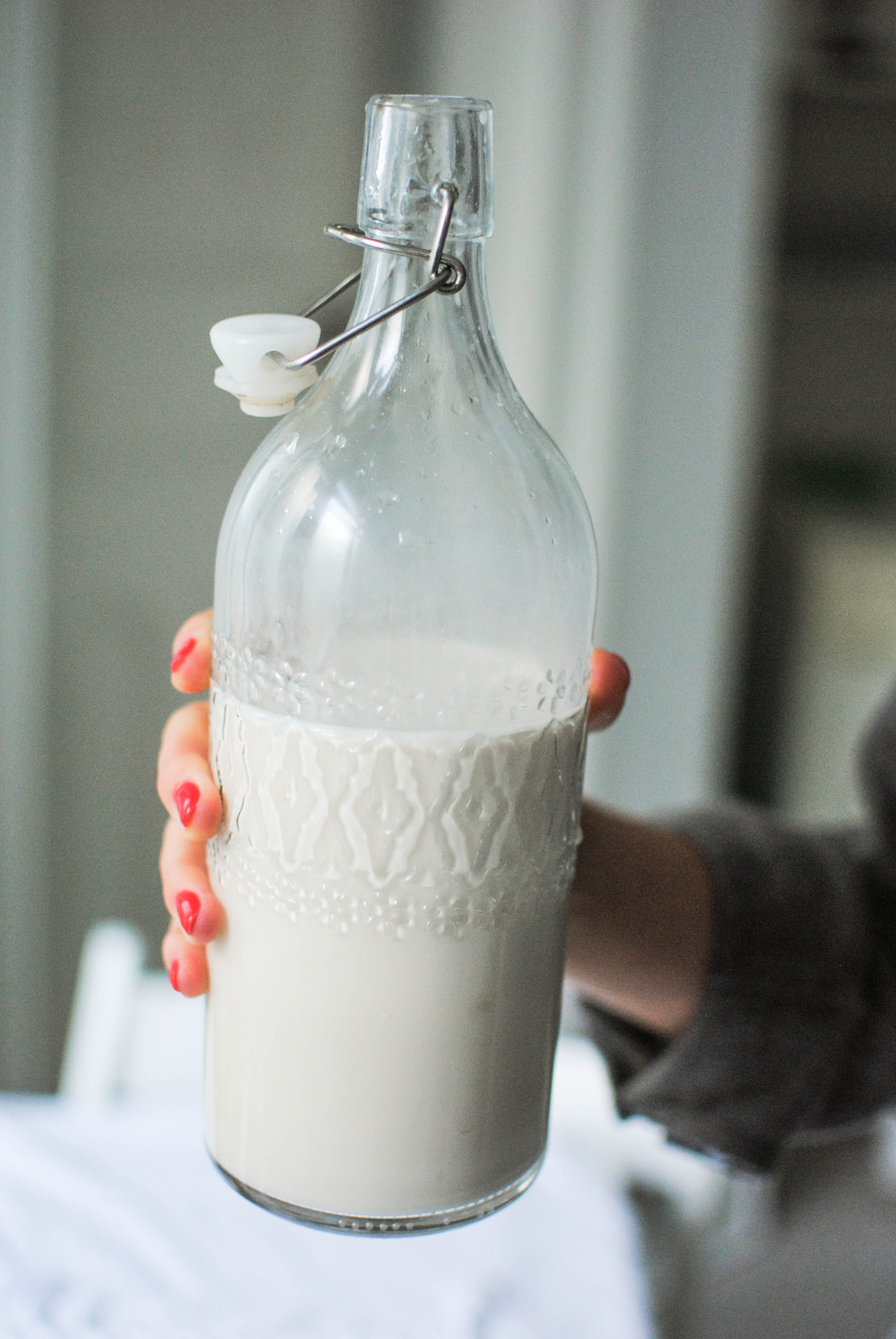 Plant Basics Homemade Plant Milk Please Consider