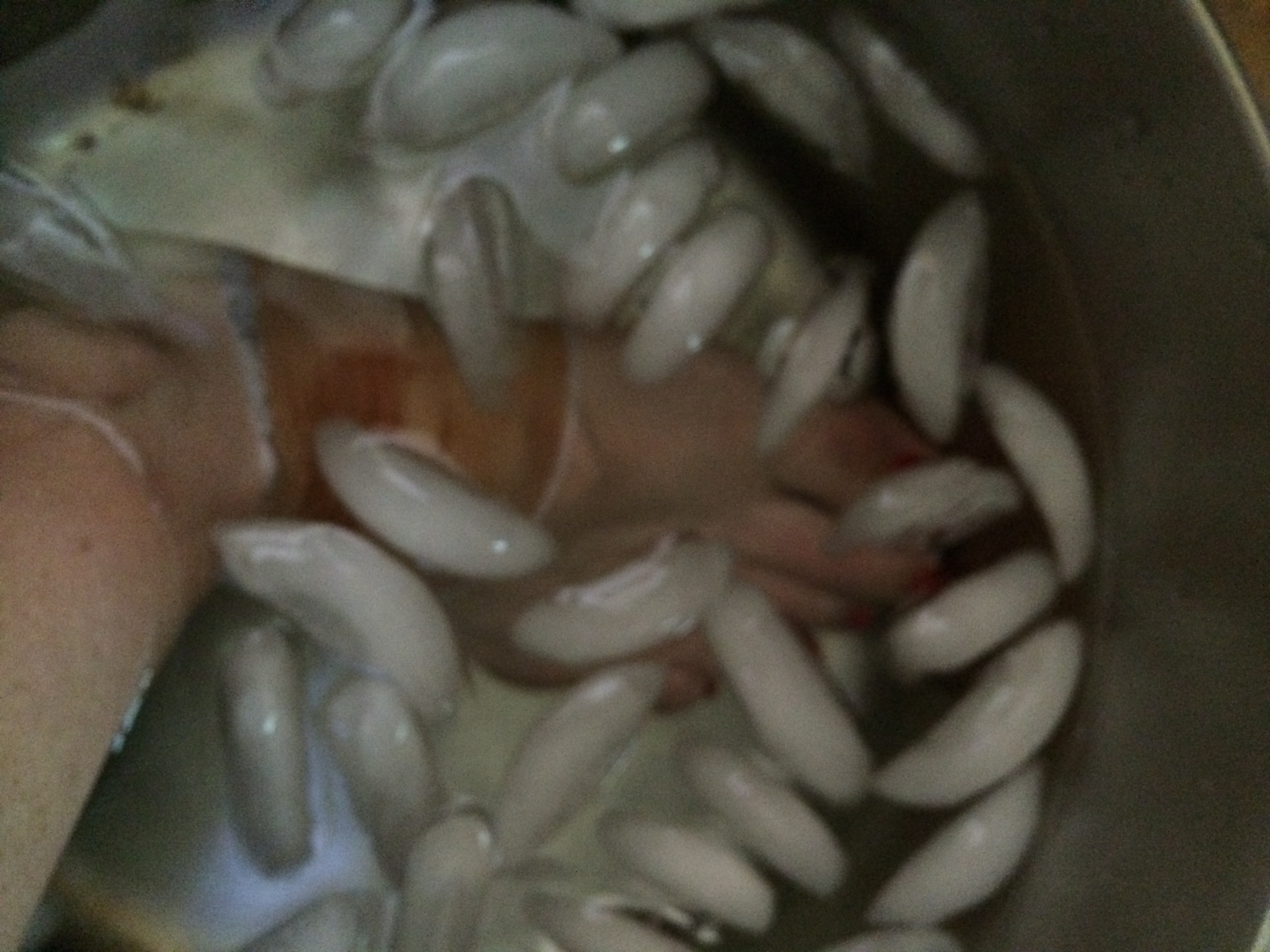 On The Road Again Pleaserunwithme