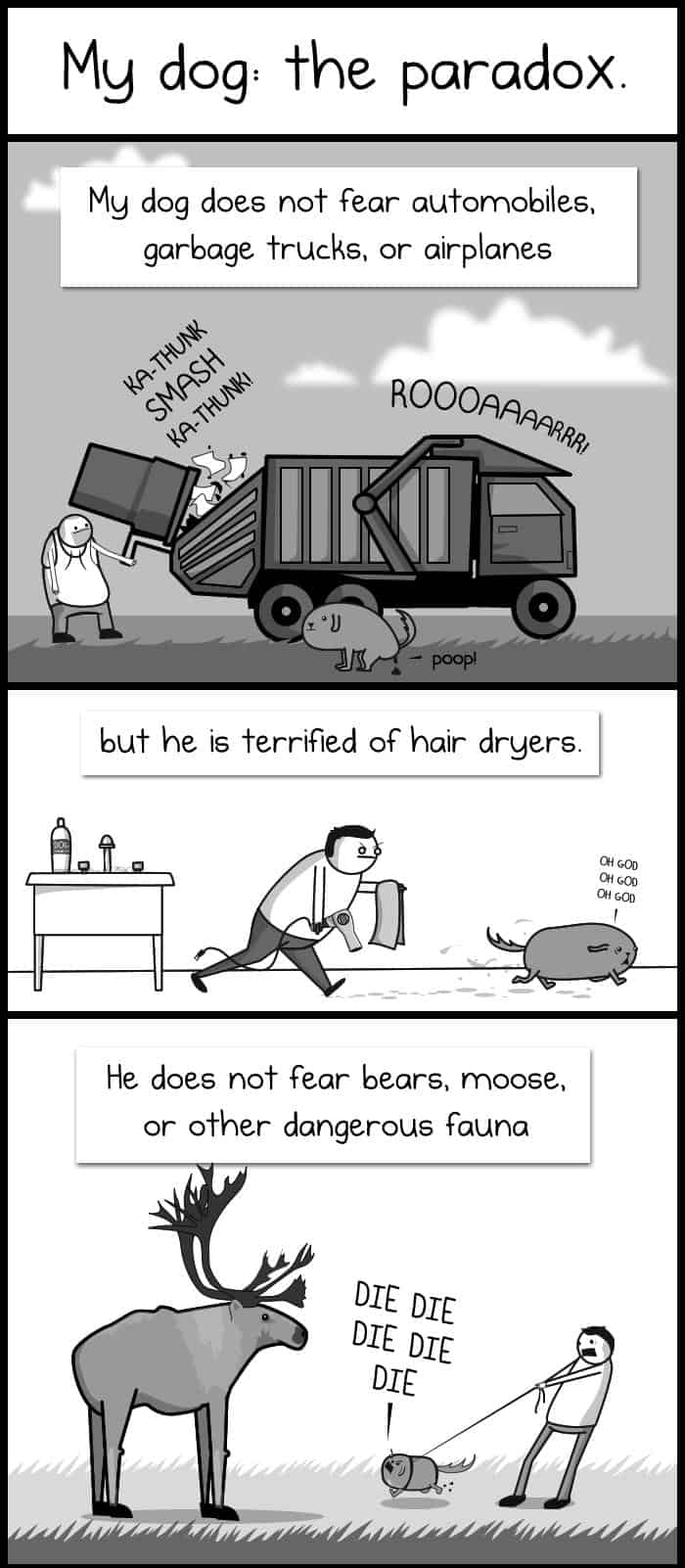 My Dog The Paradox by The Oatmeal