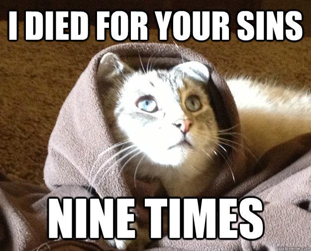 Best of the Kitty Jesus Meme (14 Pics)