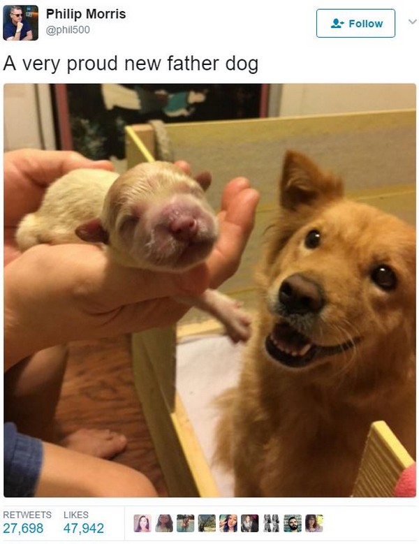 19 Beautifully Wholesome Tweets Pleated Jeans