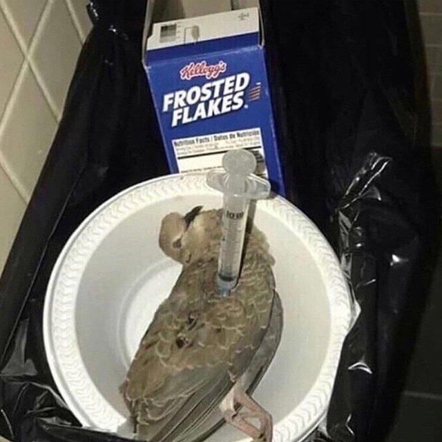 Cursed Images No One On The Should Be Allowed To See