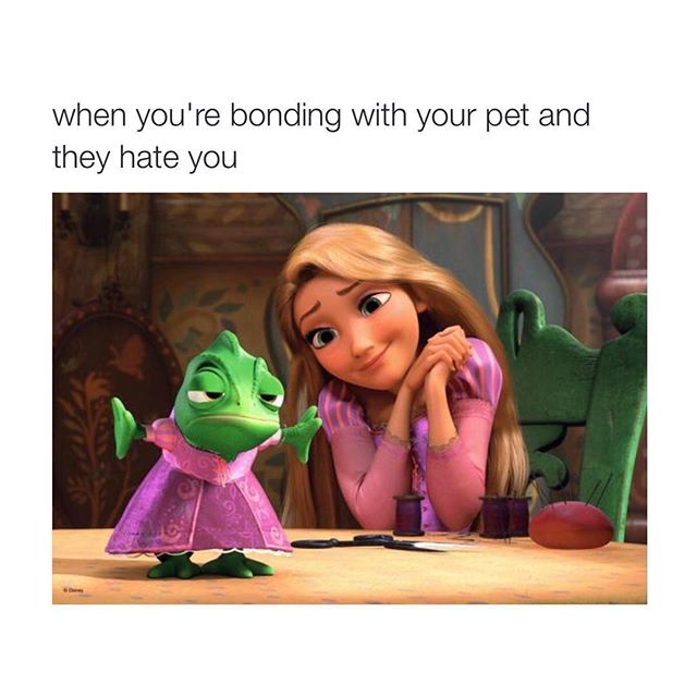 17++ Clean Memes On Reddit Factory Memes
