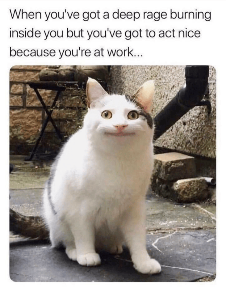 25 Relatable Monday Work Memes To Help You Survive The Week