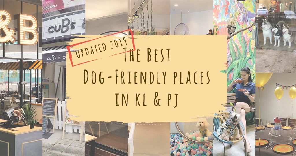 What Places Are Dog Friendly