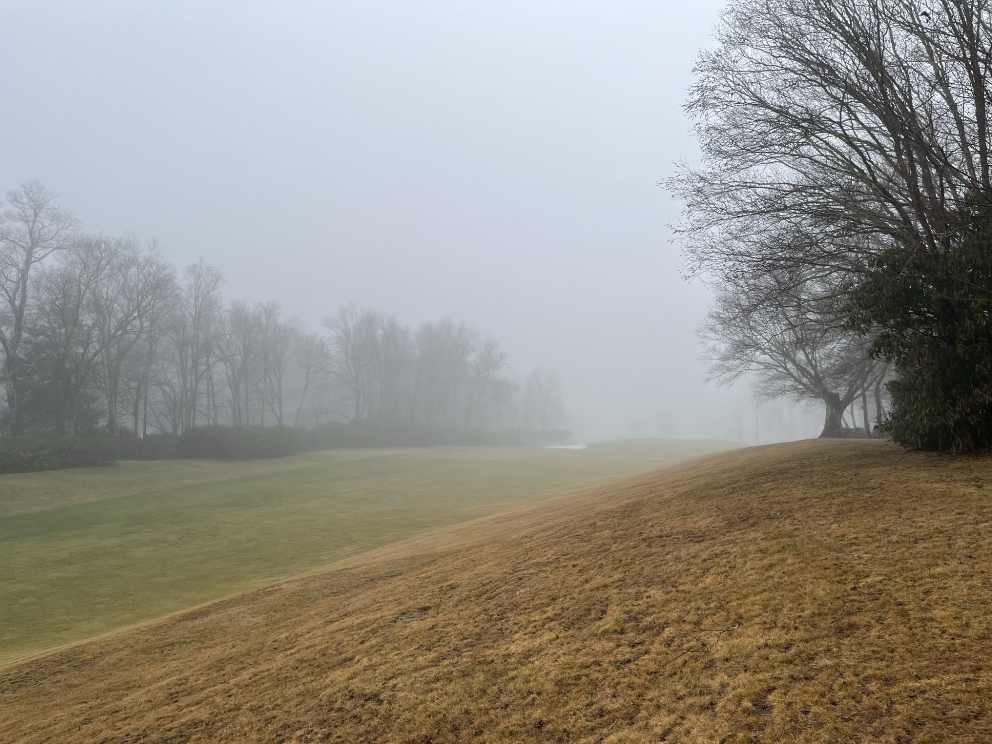 North Carolina Mountain House Pledger Architect