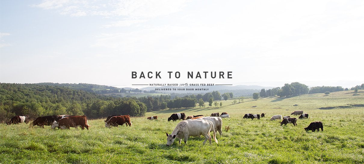 BUTCHERBOX Grass Fed Organic Meat Delivered to Your Door PLEIJ Salon