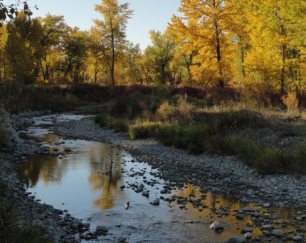 PleinAirAlberta Fish Creek Provincial Park