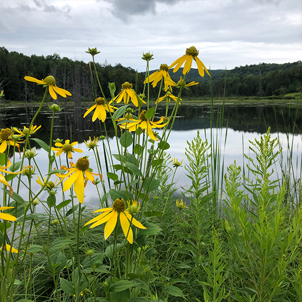 La Réserve naturelle AlfredKelly Plein air Paysd'enHaut