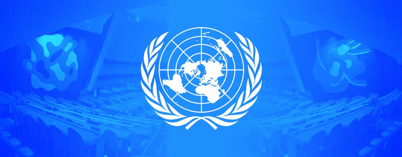 Dia da ONU O Legislativo para crianças Câmara dos Deputados