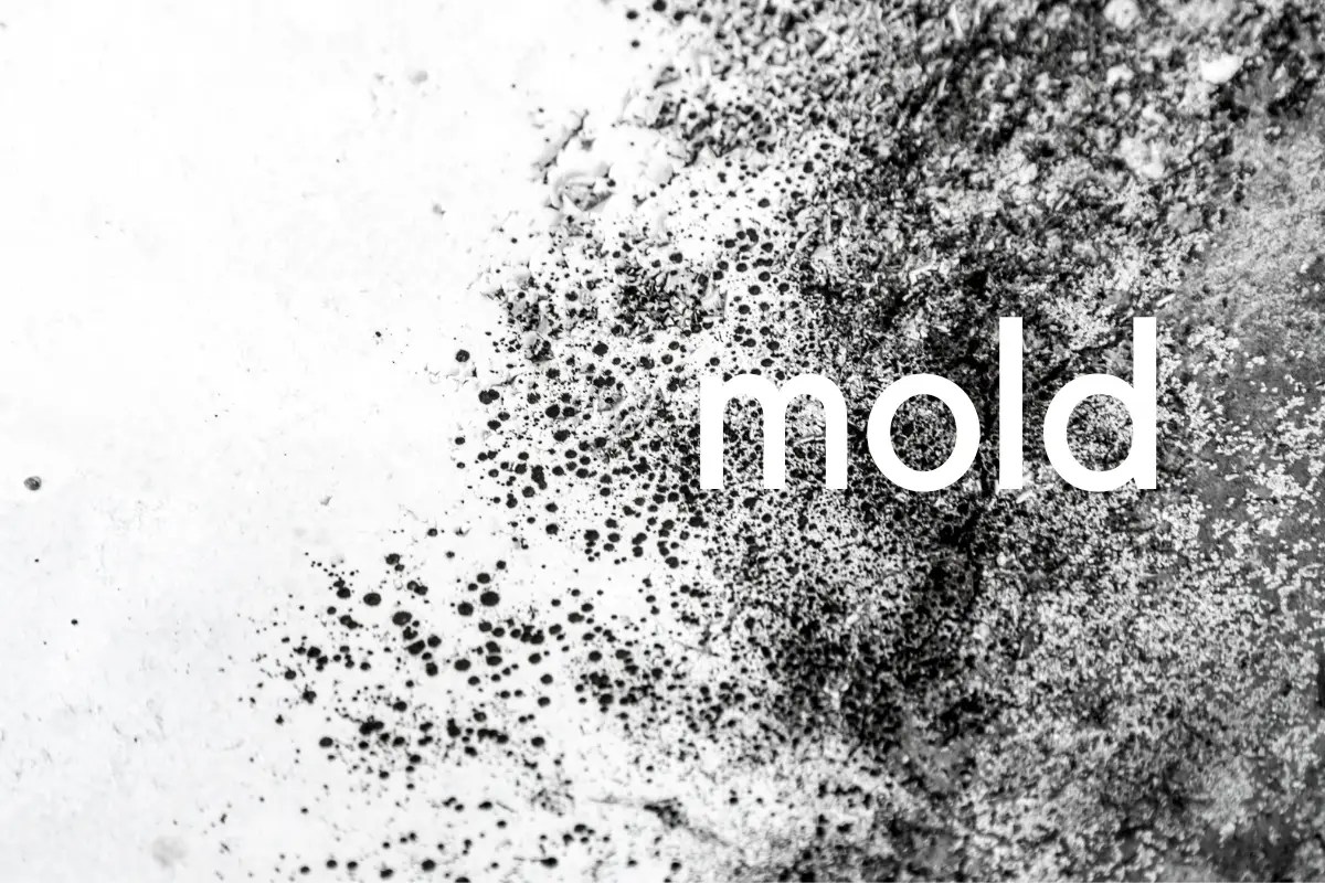 Why Does My AC Smell Like Vinegar? Plentiful Air