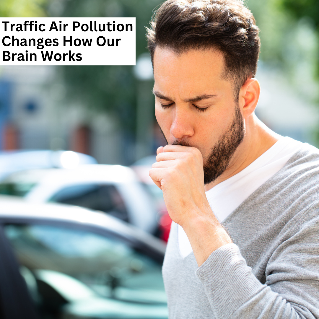 New Study Shows ShortTerm Effects of TrafficRelated Air Pollution on