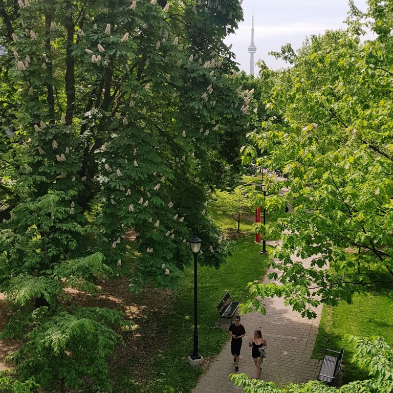 Toronto Property Newsletter July 2013 PLEX Realty