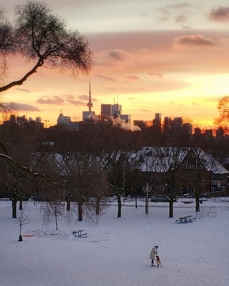 Toronto Property Newsletter March 2020 PLEX Realty