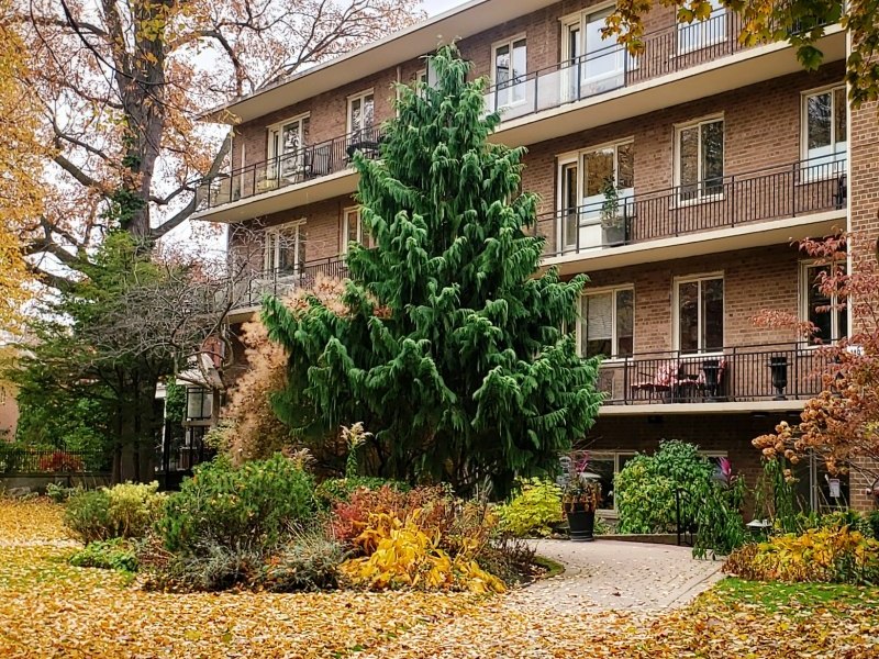 Toronto Property Market Analysis Fall 2020 PLEX Realty