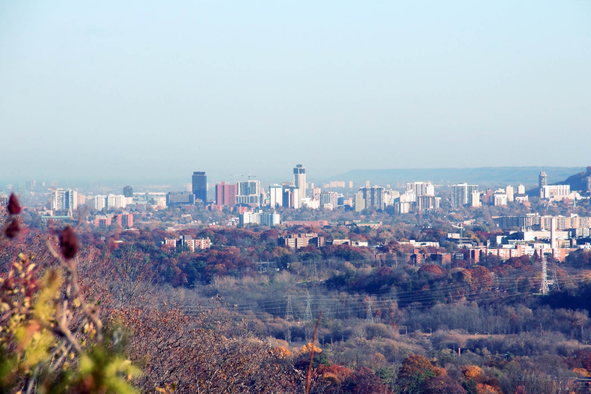 A Look at Hamilton Area Real Estate An Investment Property Focus