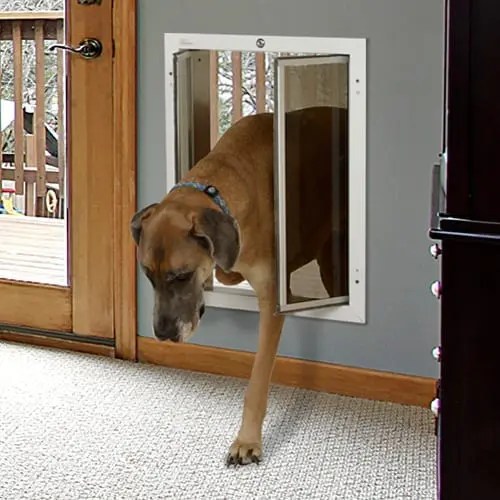 Where Can I Install A PlexiDor Pet Door? Questions PlexiDor