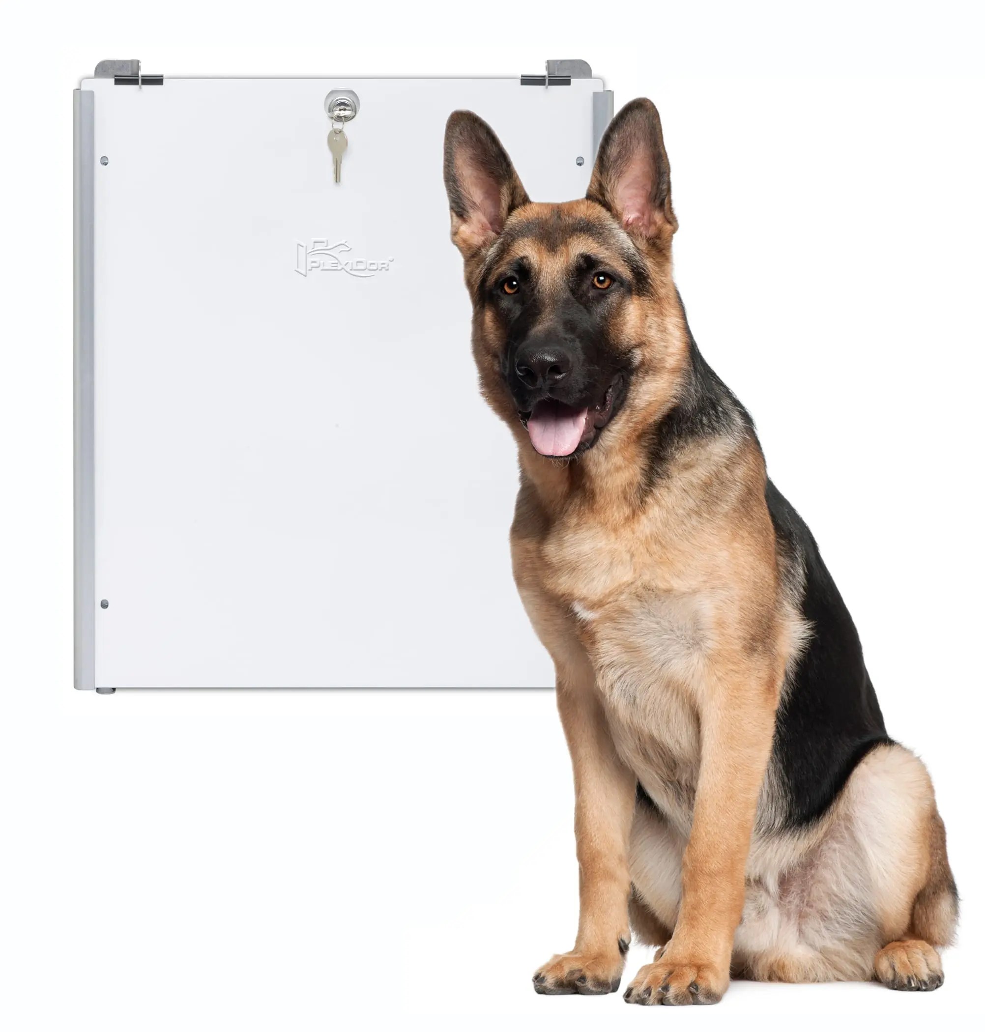 Product FAQs Questions Archives PlexiDor Dog Doors