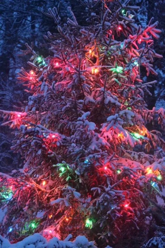 Unveiling 2023's Colorful Christmas Lights Tree Ideas A Festive Fusion