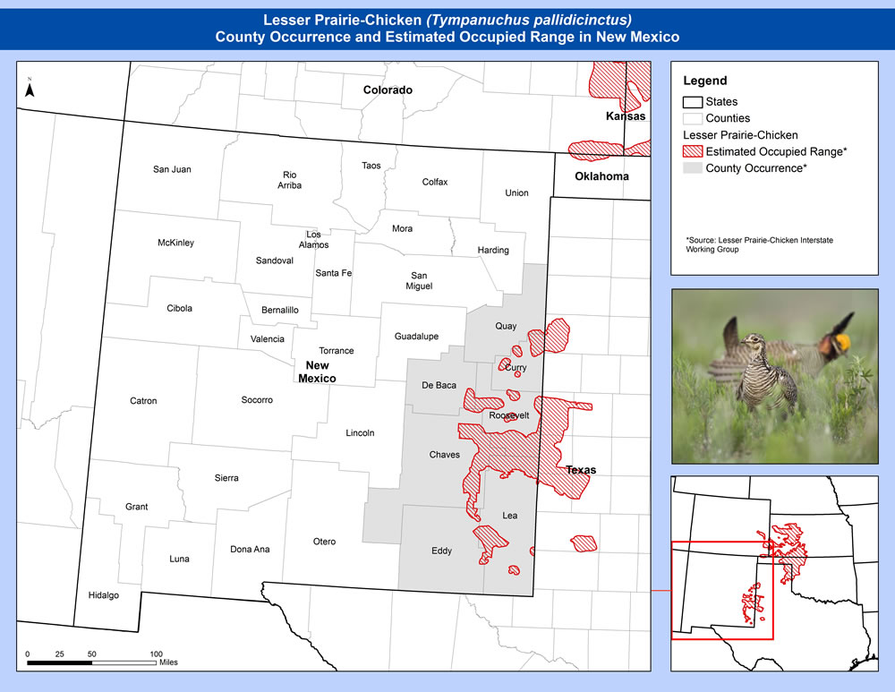 New Mexico Priority Resource Concerns Southern Plains Wind & Wildlife