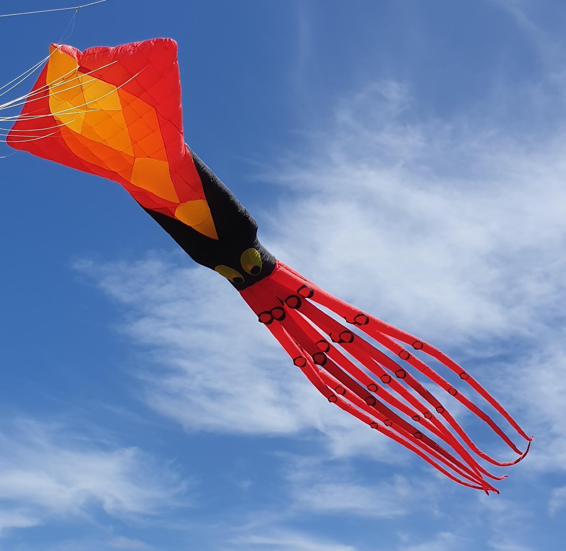 Kites Peter Lynn Kites