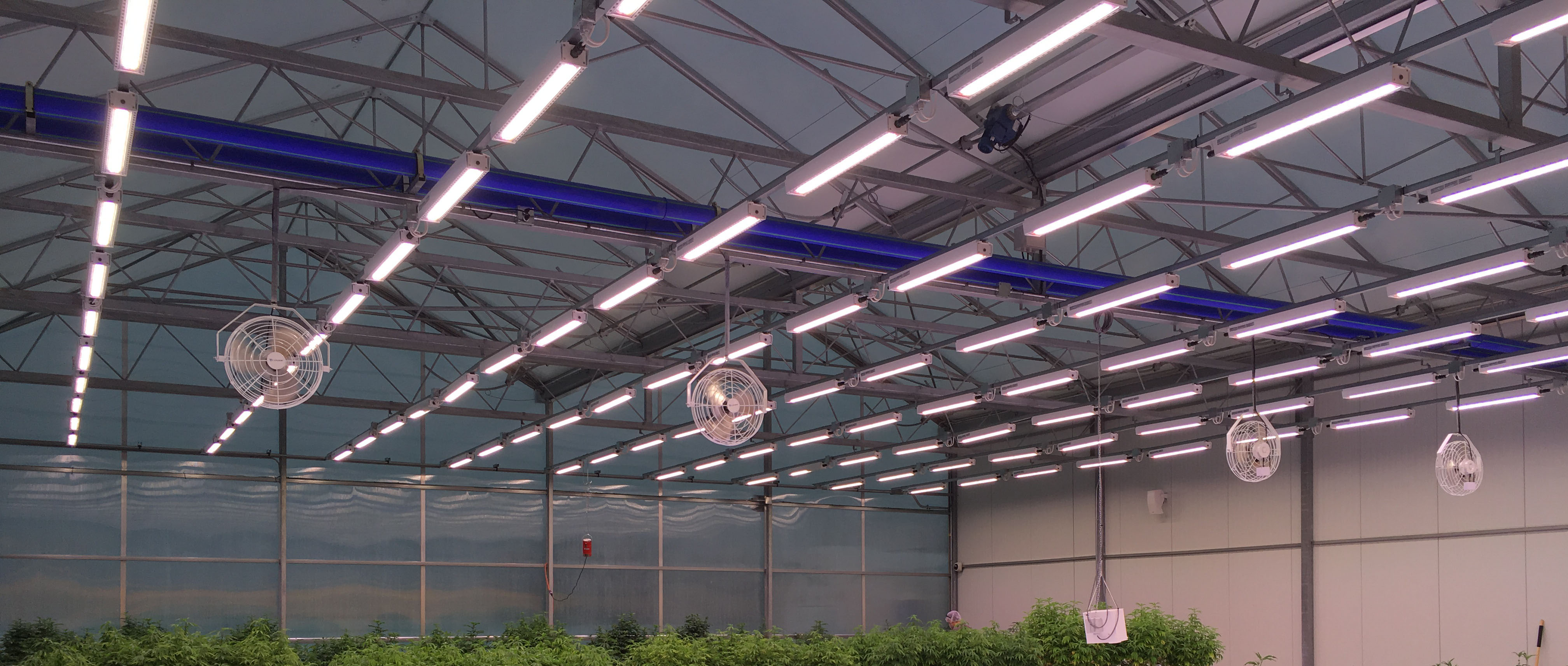 Redecan P.L. Light Systems