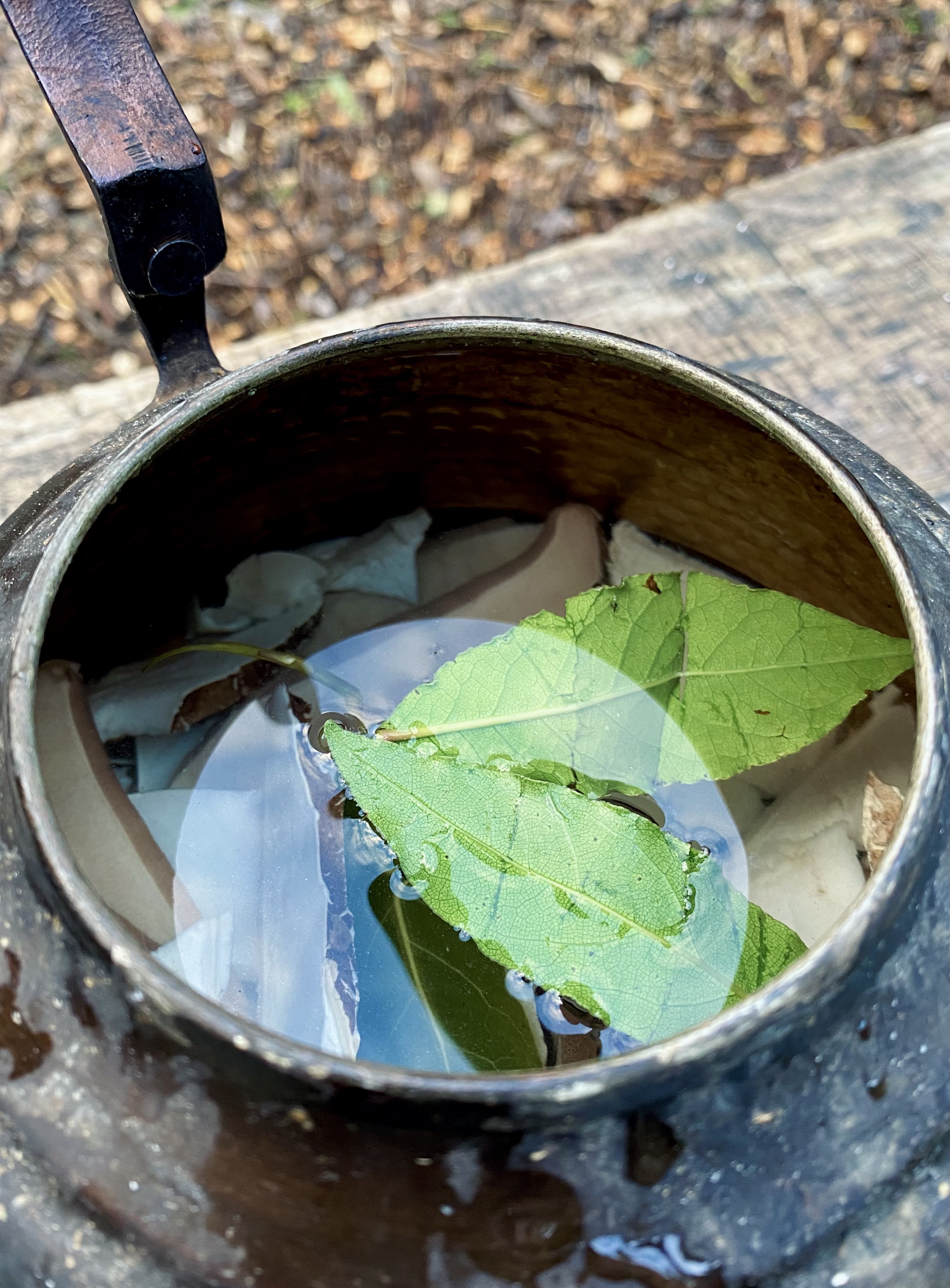 A Trio of Wild Teas for Autumn & Winter Plot & Lane