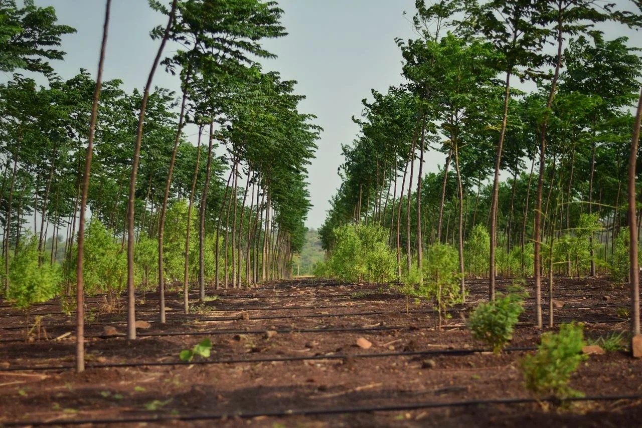 Vanabhoomi Farm Land For Sale In Hyderabad