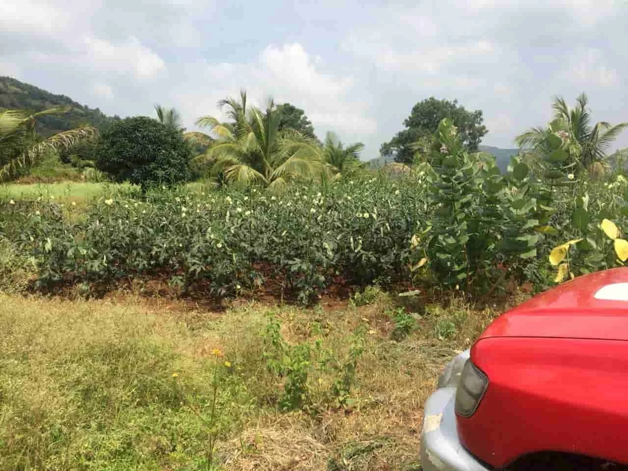 Na plots in pune Land for sale in Pune Bungalows in Pune.Plots On