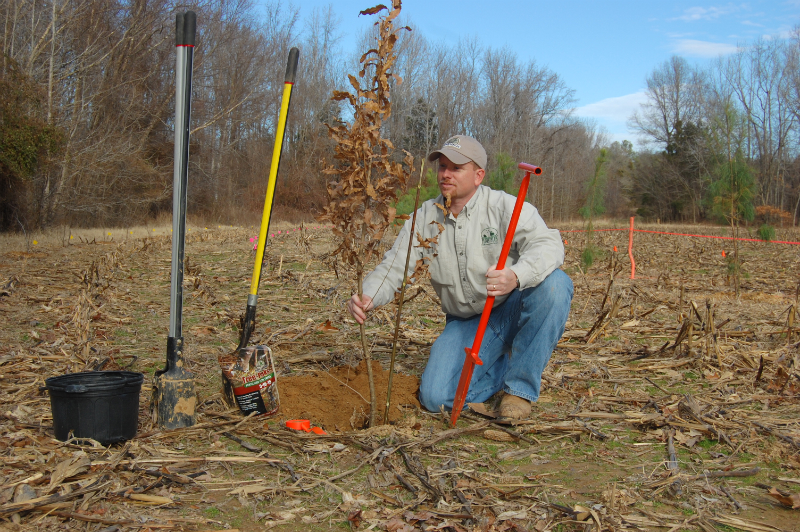 Plots Plus Wildlife, Hunting, Land Management Services and Solutions