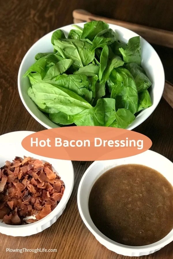 Hot Bacon Salad Dressing Plowing Through Life