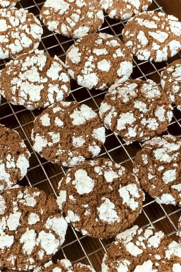 Chocolate Pixies Plowing Through Life