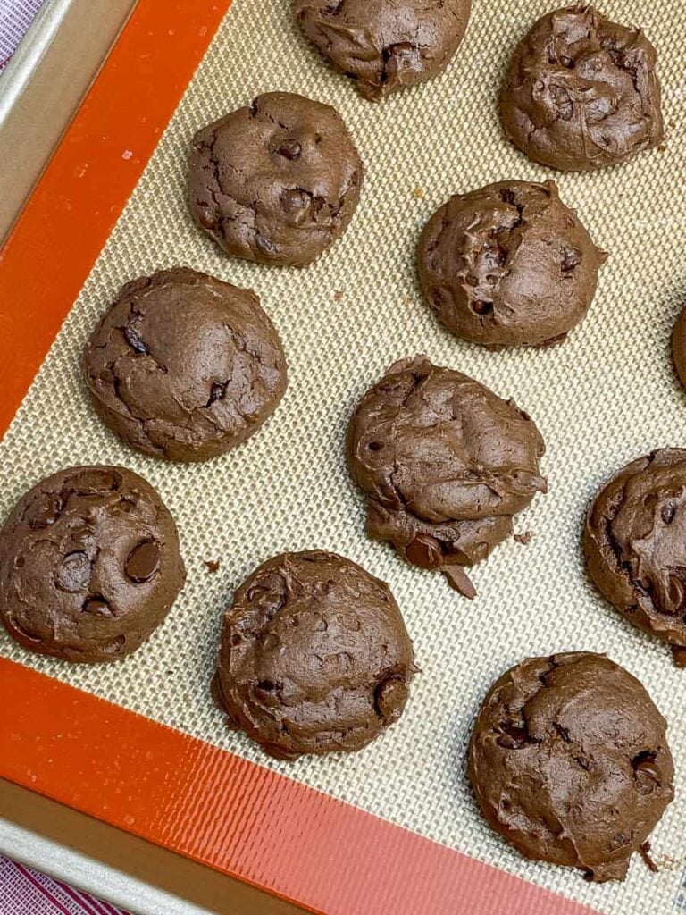 Easy Devil's Food Cookies Plowing Through Life