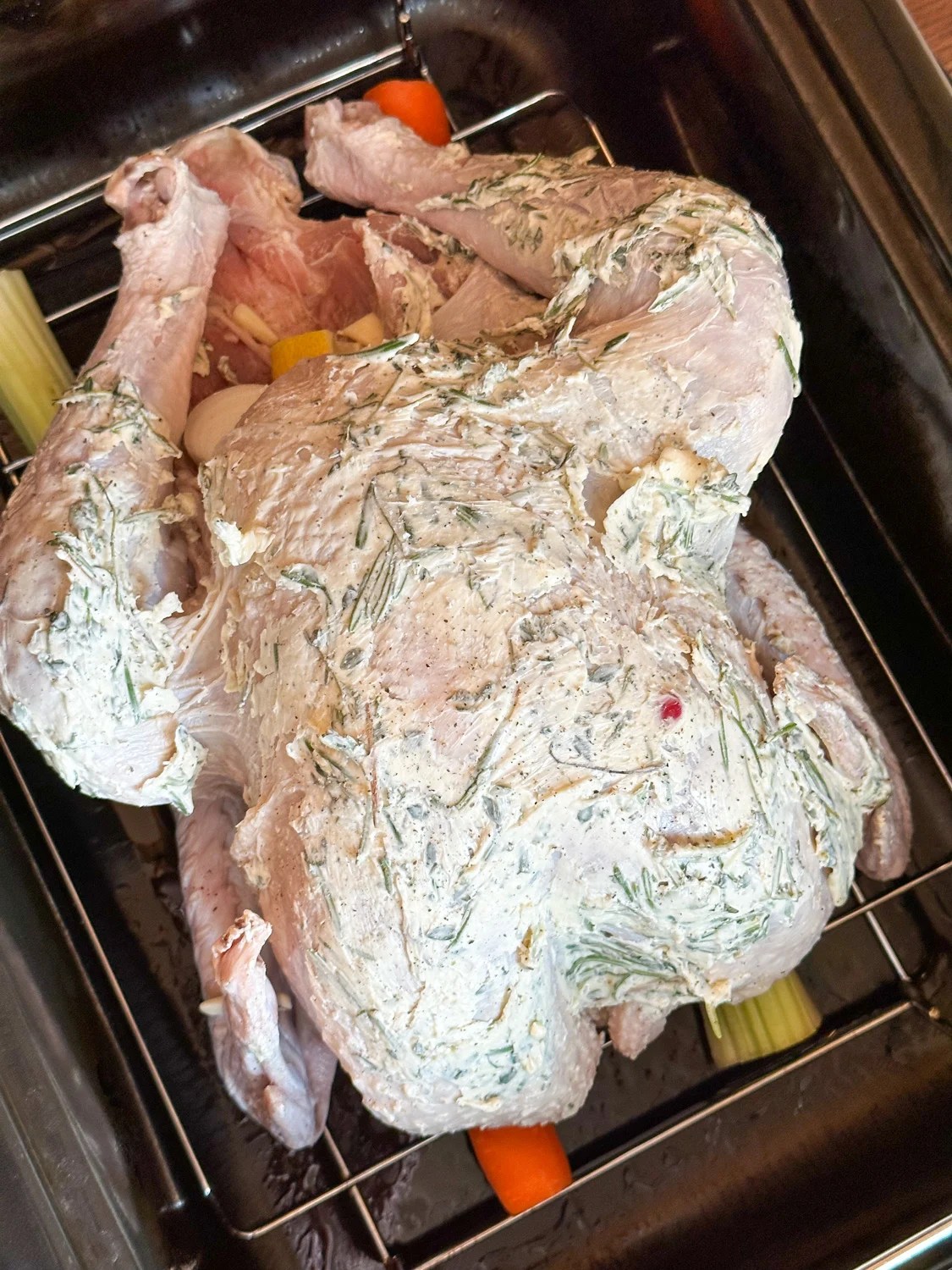 Turkey In A Roaster Oven Plowing Through Life