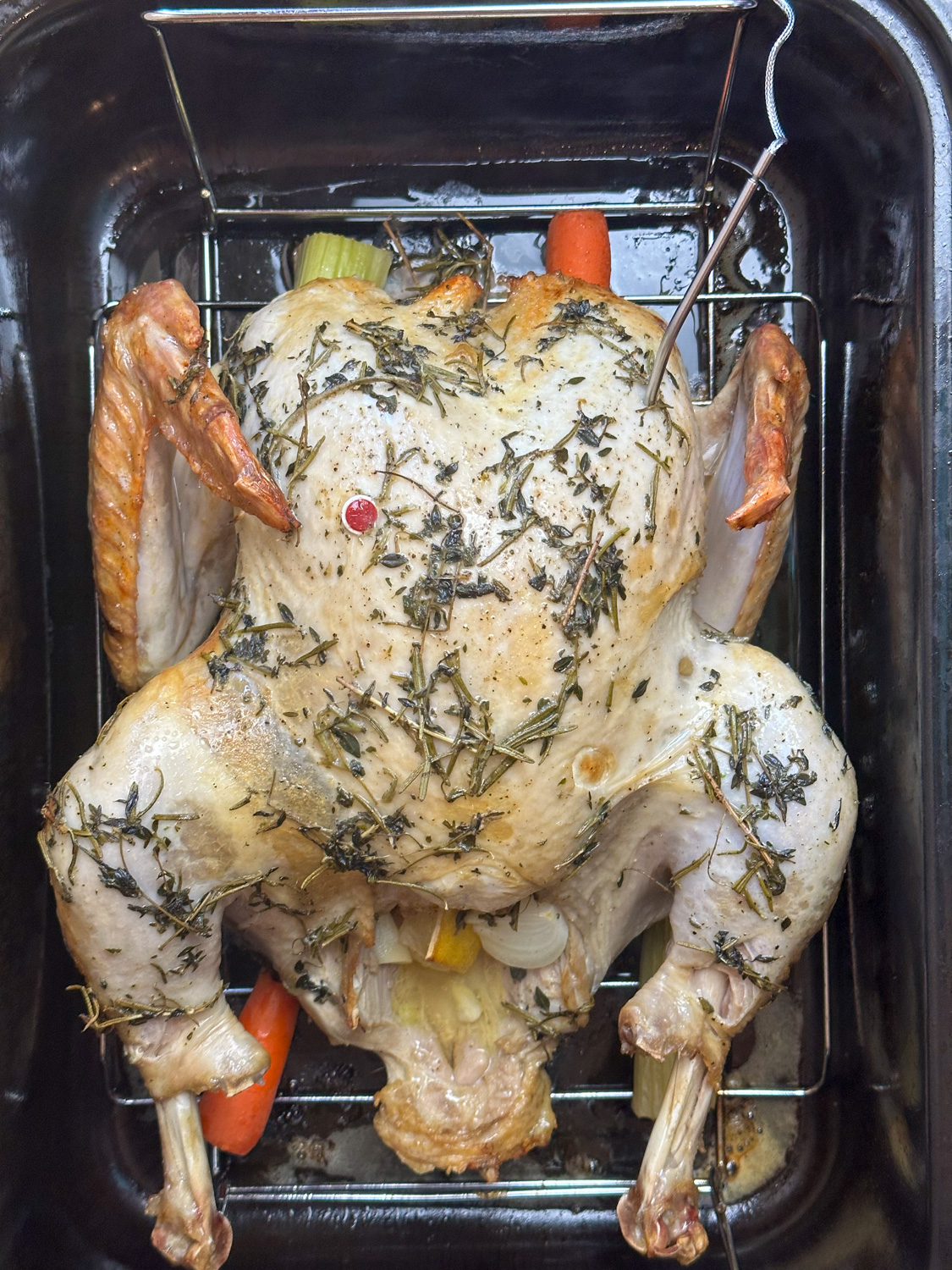 Turkey In A Roaster Oven Plowing Through Life